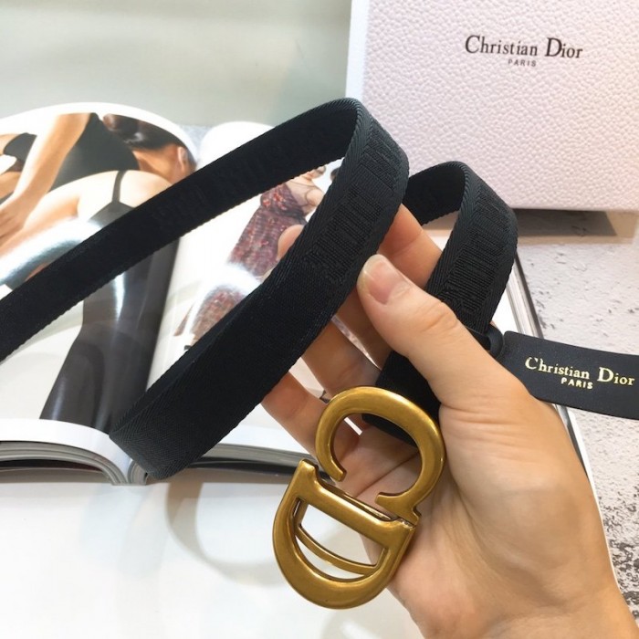 Dior Saddle Nylon Belt