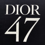 replica Dior Oversized T-Shirt