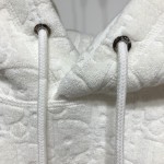 Dior Oblique Motif hoodies