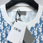 Replica Dior Oblique T shirt