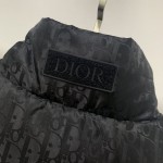 Replica Dior Oblique Down Vest