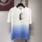 Replica Dior Oblique t shirt white blue