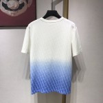 Replica Dior Oblique t shirt white blue