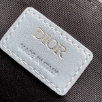 Replica Dior Mini Dior Hit The Road Bag