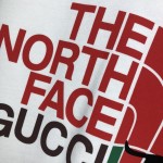 Replica The North Face x Gucci Hoodie