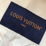 Replica Louis Vuitton Cotton Hooded Blouson