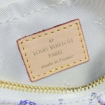 Replica Louis Vuitton Multicolor Beige Speedy 20