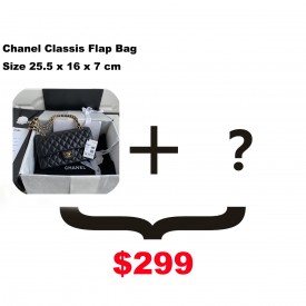 Chanel Lambskin Leather Classic Flap Bag Discount Package 1+1